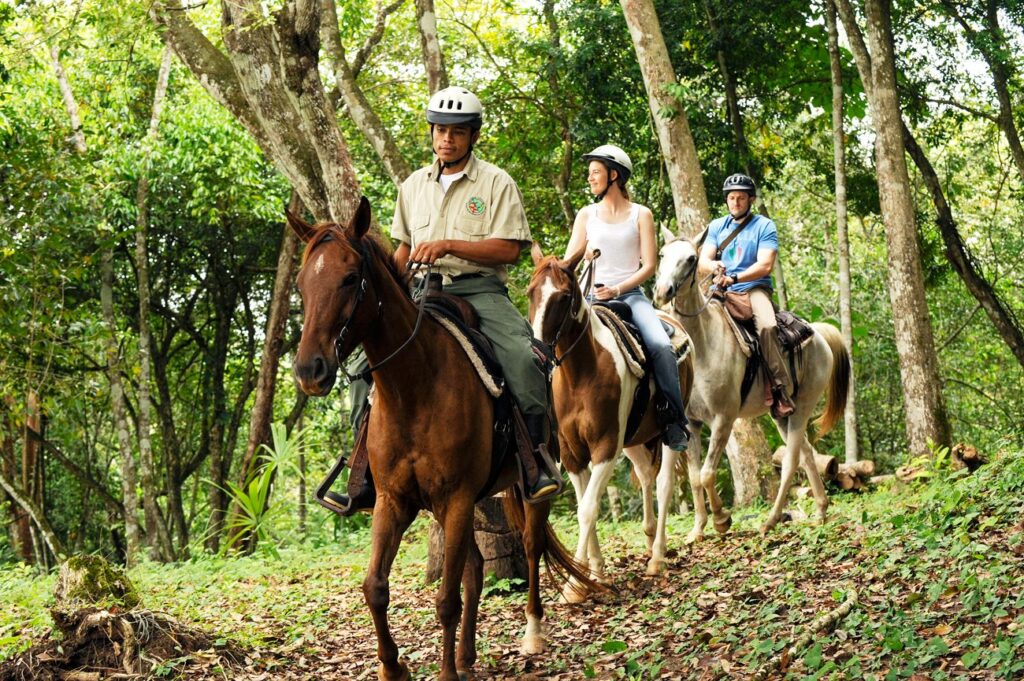 Exploring the jungles of Belize on horseback