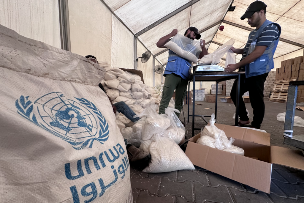Palestine: Urgent humanitarian need to fund UN Agency UNRWA